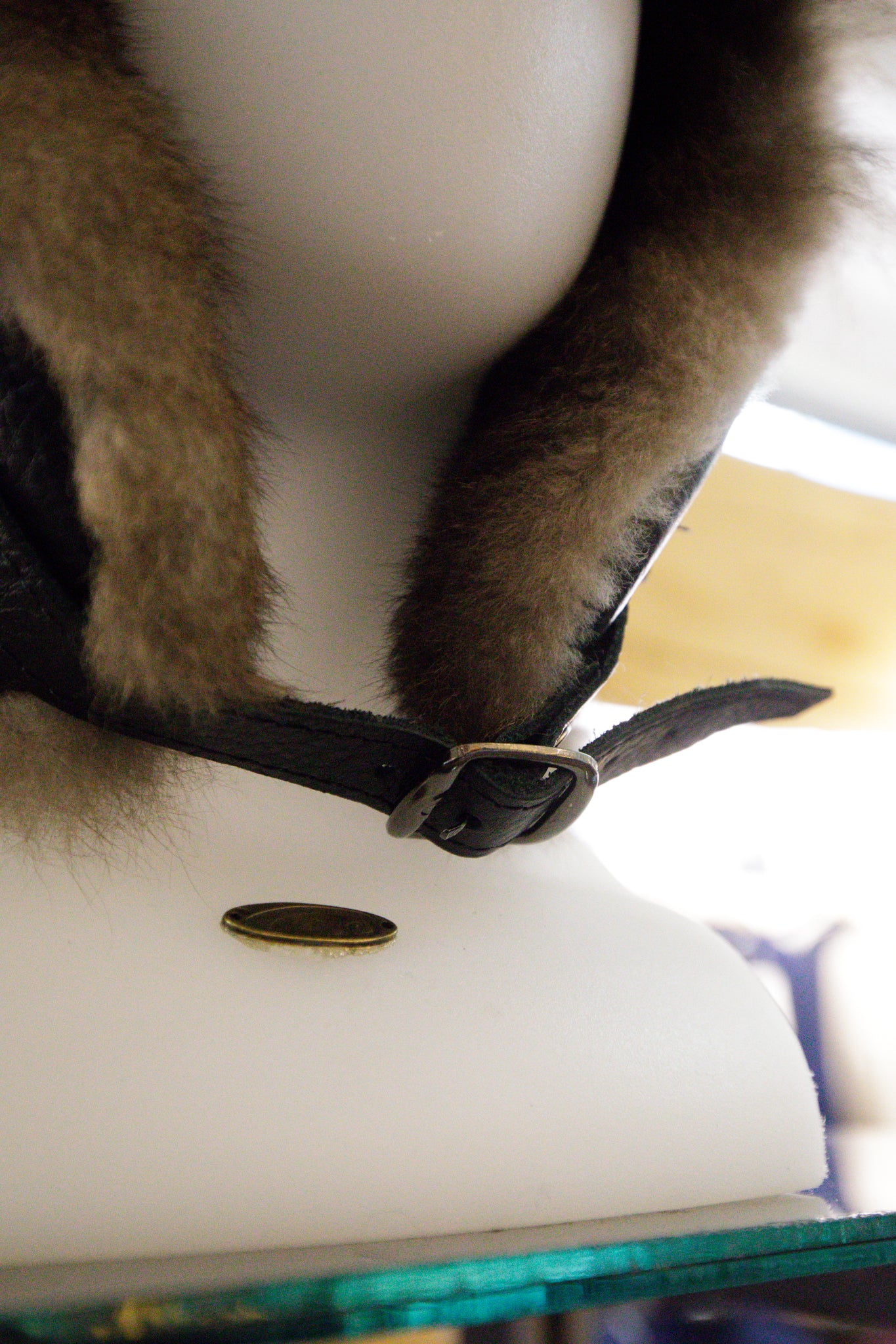 Leather Aviator Hat