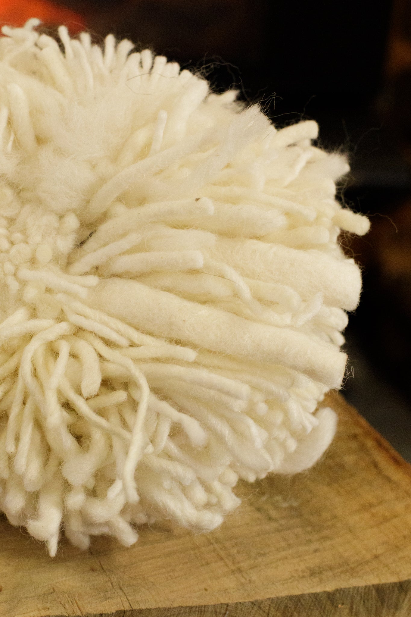 Raggedy White Wool Sheep