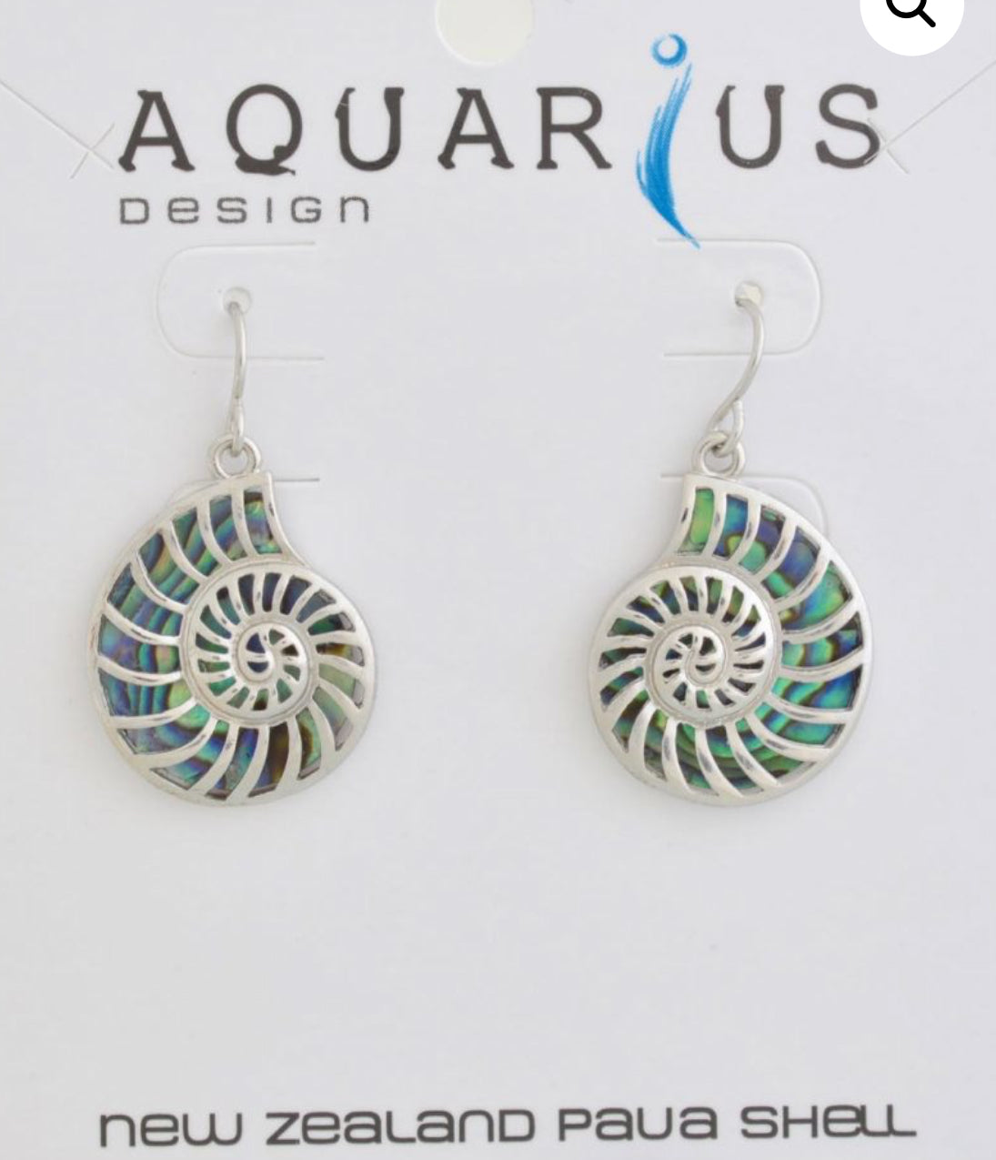 Paua Nautilus Earrings