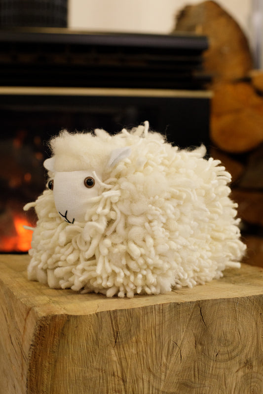 Raggedy White Wool Sheep