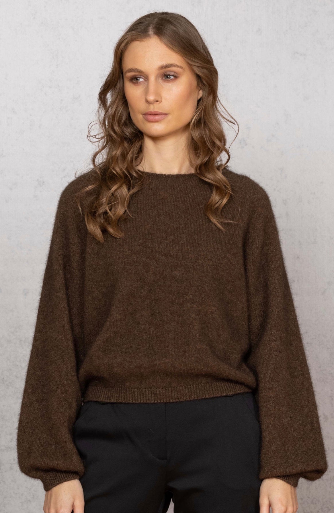 Bellow Sleeve Top