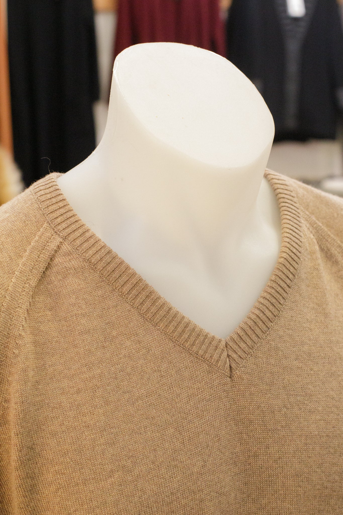 Long Sleeve Raglan V-Neck Sweater