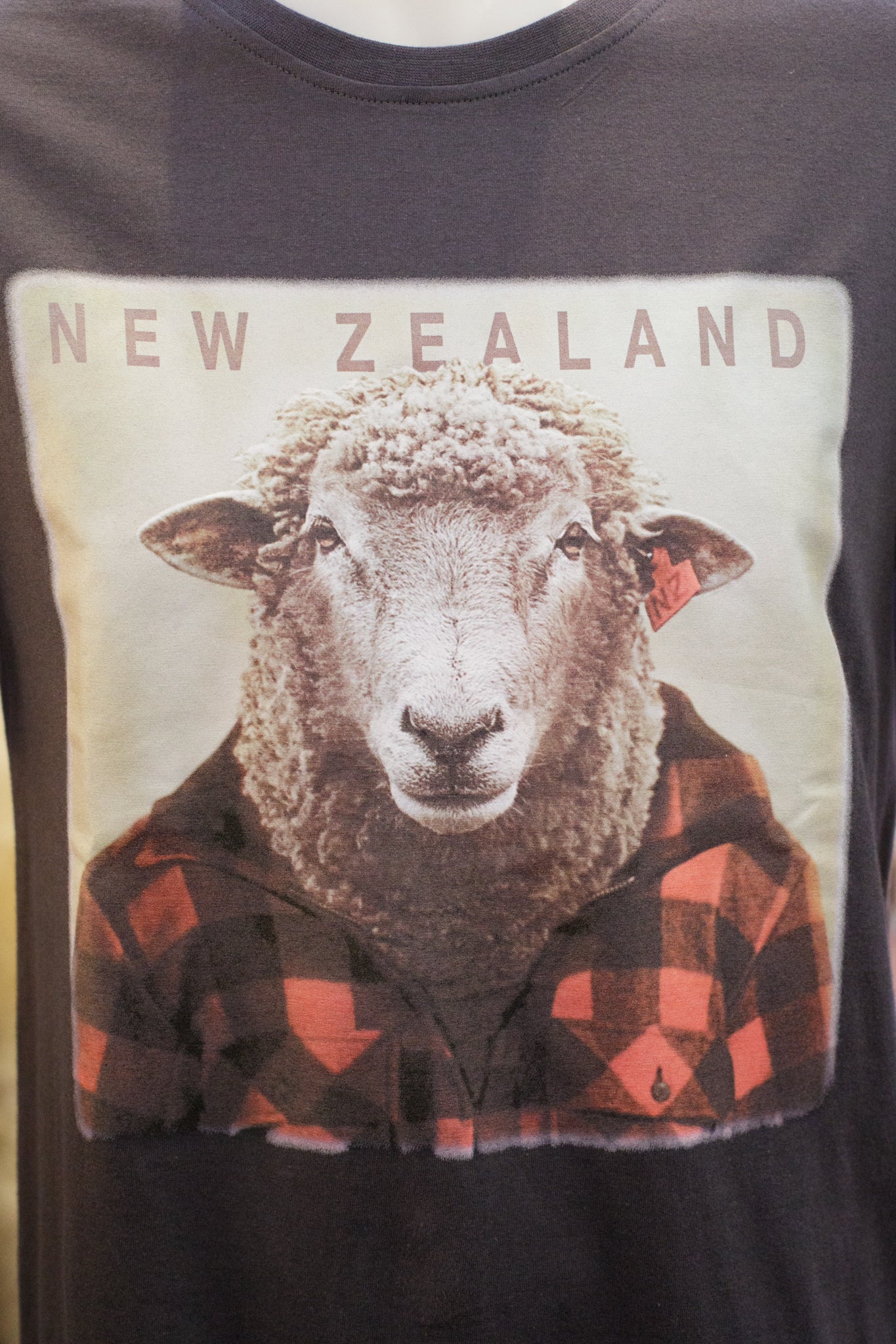 Sheep T-Shirt