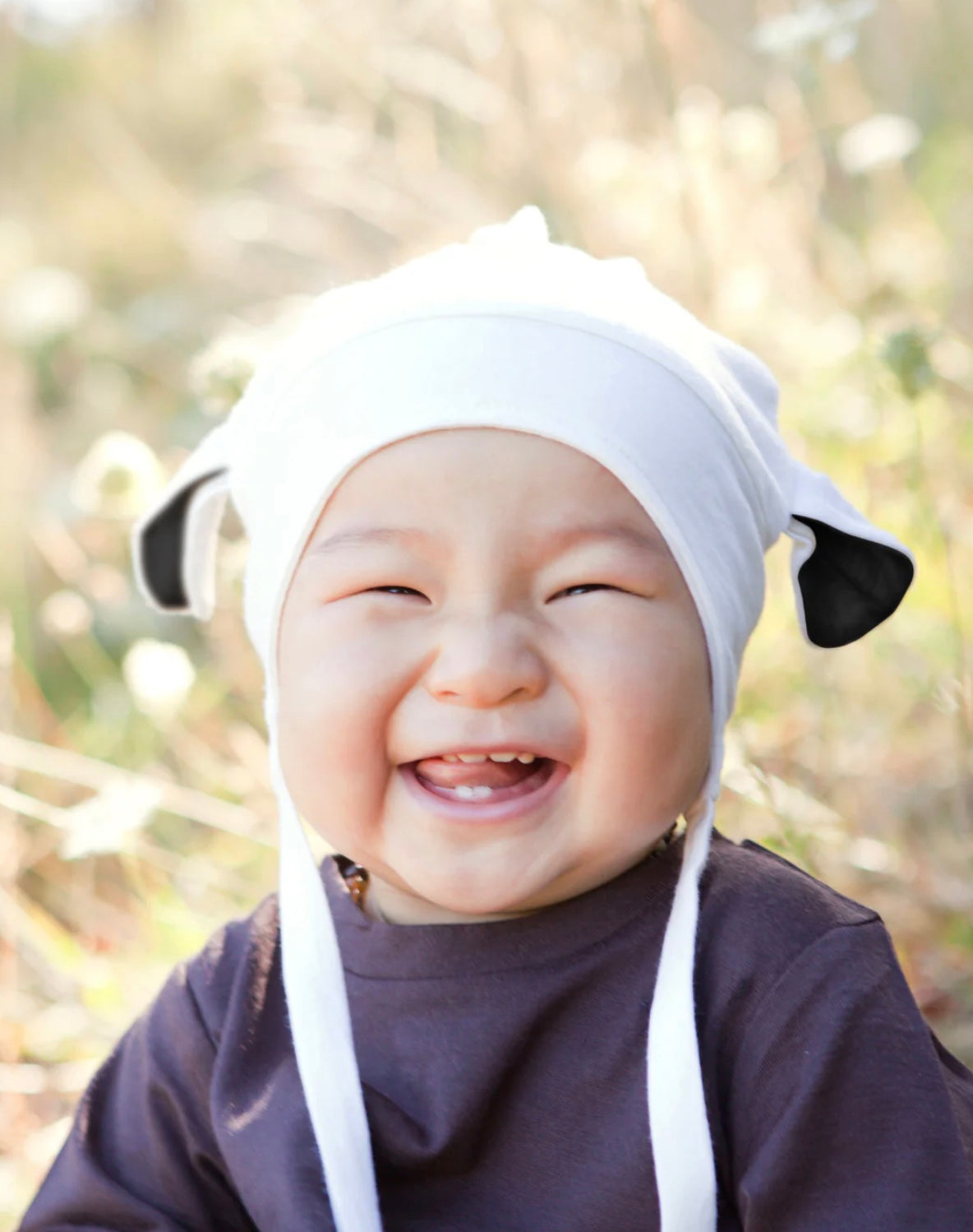 Lambeanie