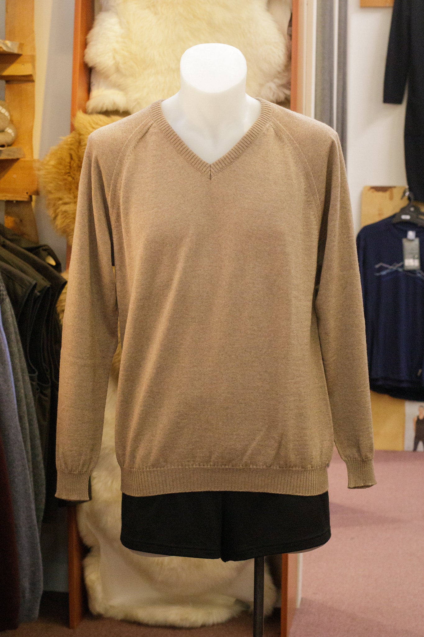 Long Sleeve Raglan V-Neck Sweater