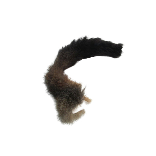 Possum Tail