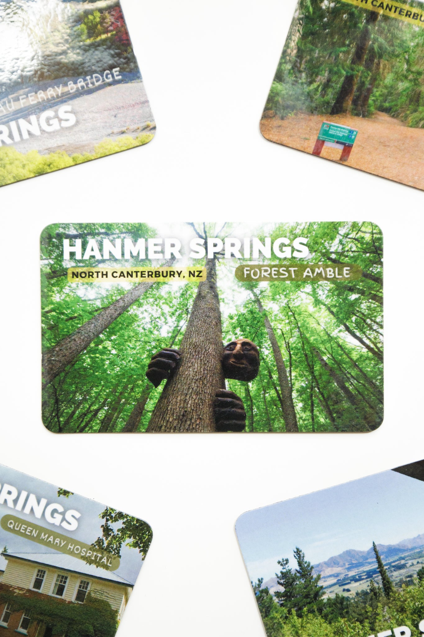 Forest Amble Magnet