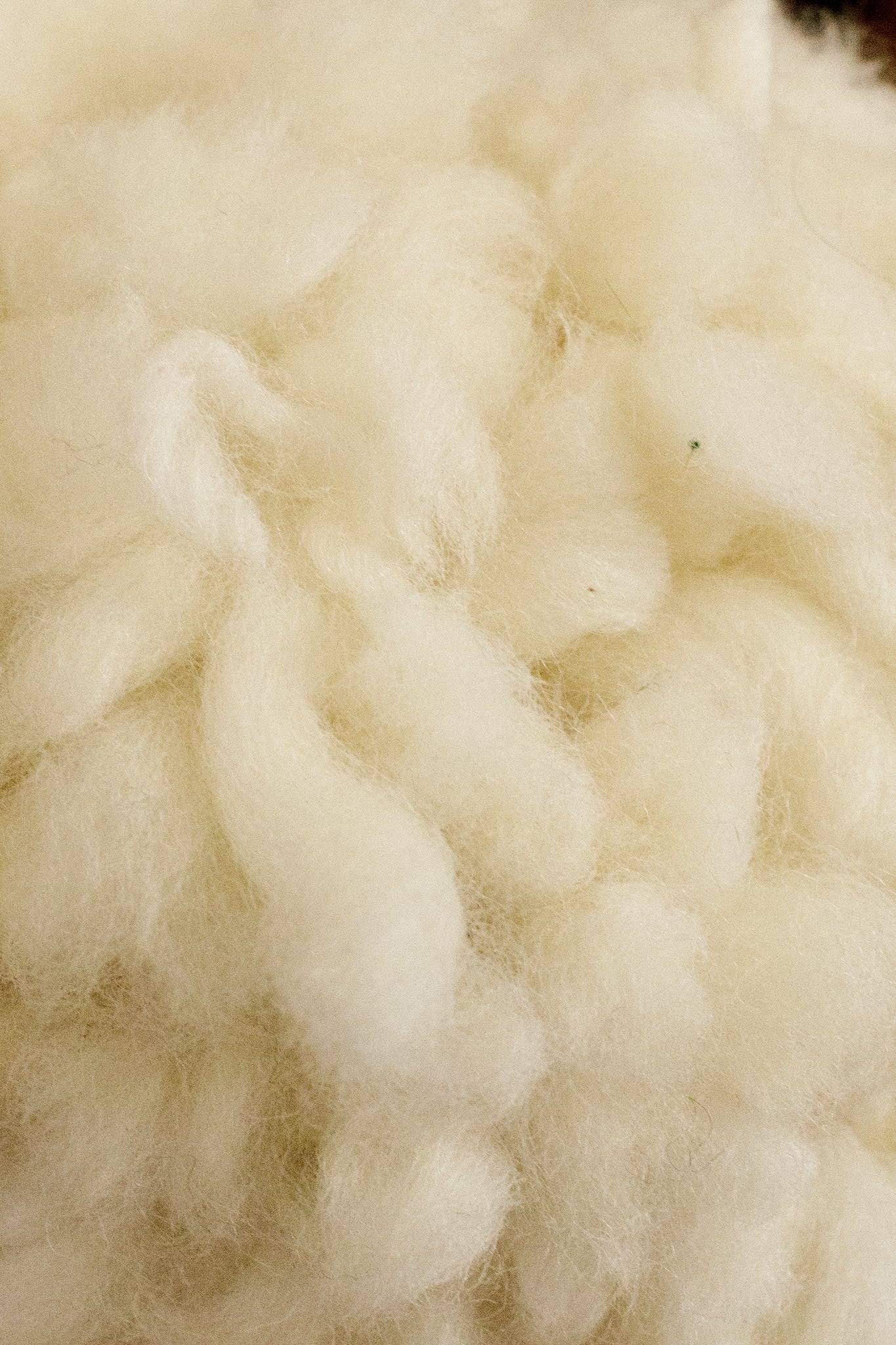 Loopy White Wool Sheep