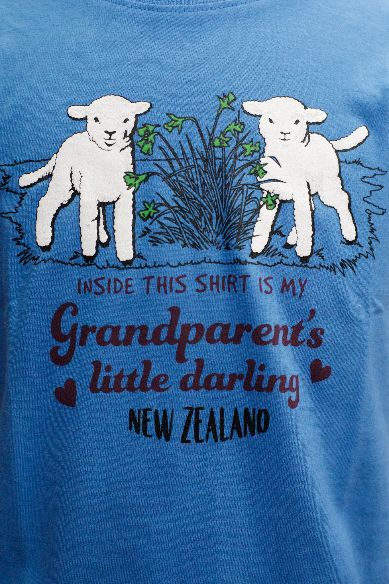 Grandparent’s Little Darling T-Shirt