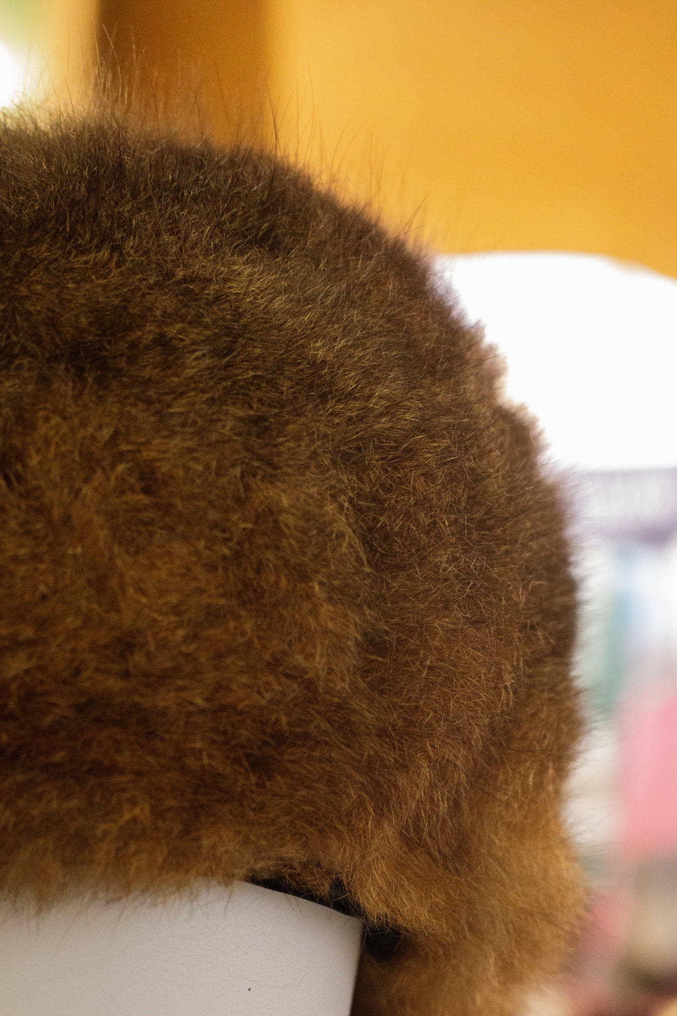 Possum Hat With Tail
