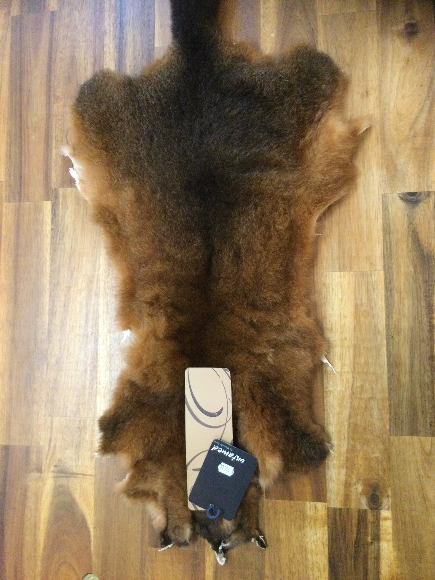 Possum Pelt