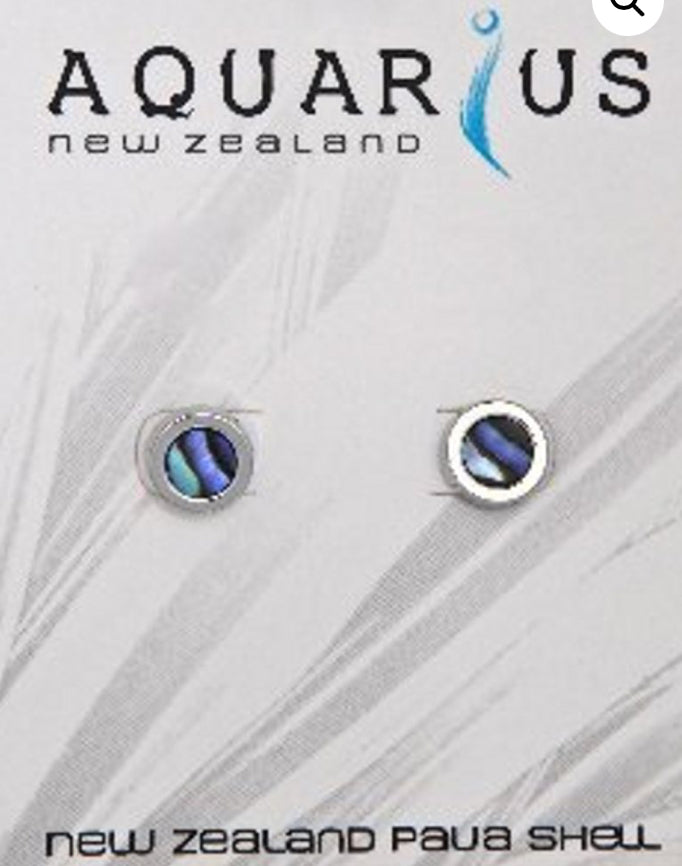 Paua Round Small Stud Earrings