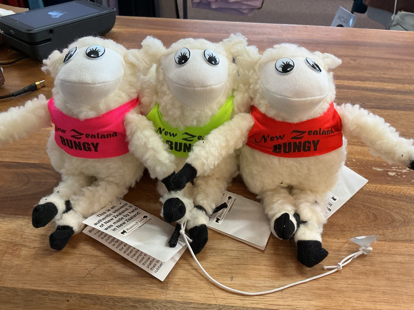 Bungy Sheep