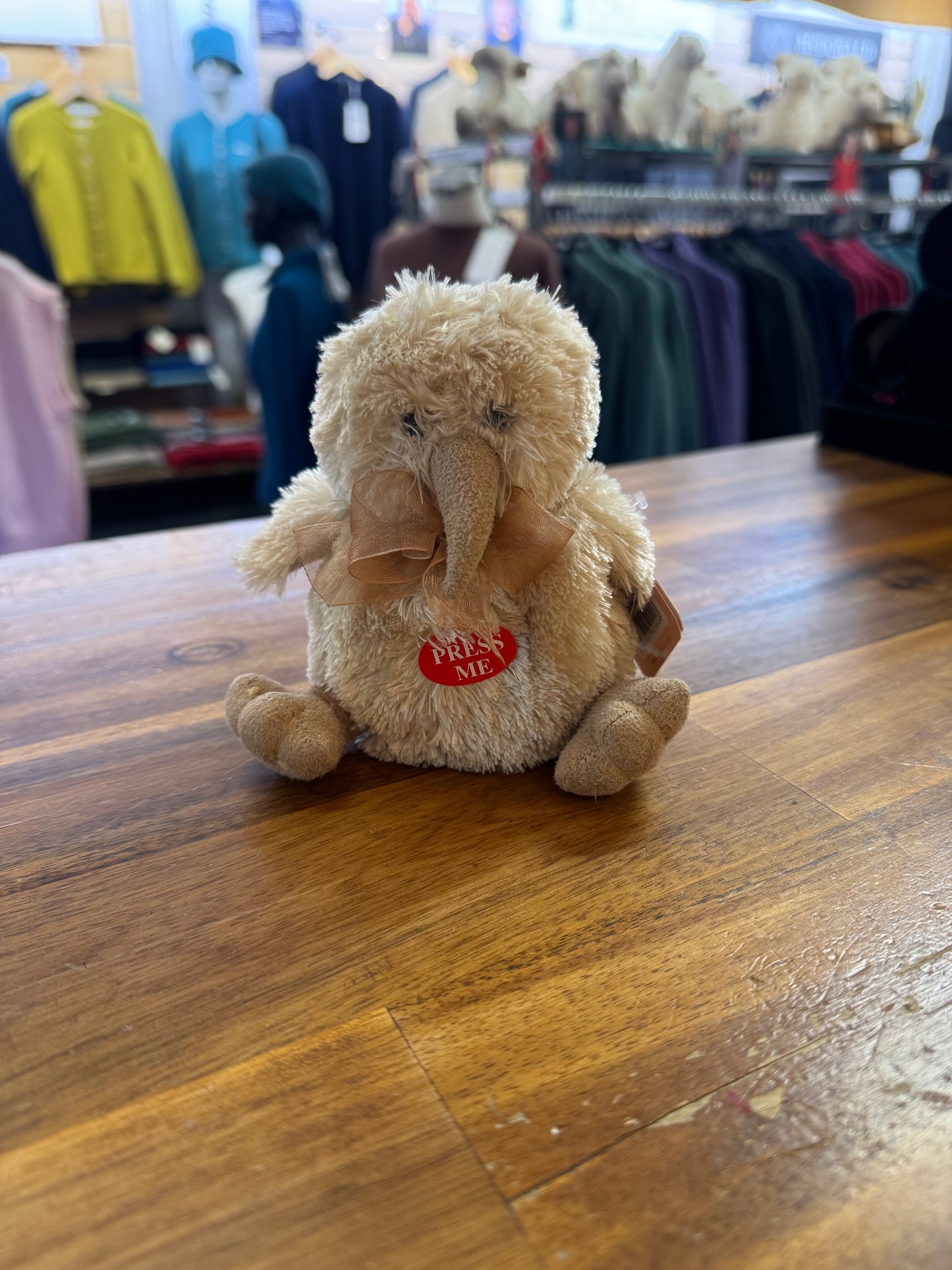 Kiwi Bird soft Toy with noise