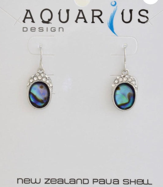 Paua Oval With Crystal Earrings