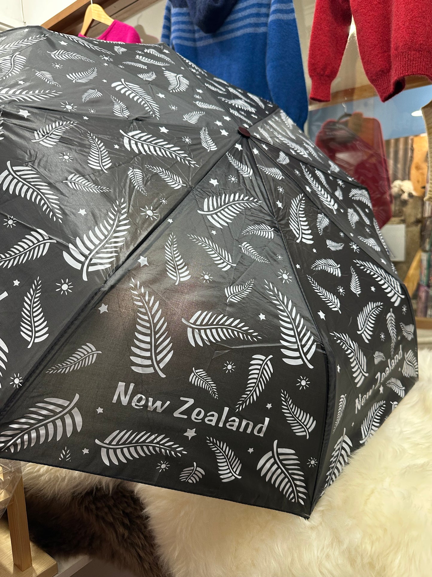 Souvenir Umbrella
