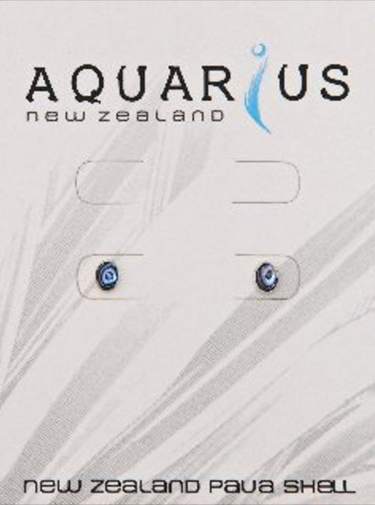 Paua Mini Oval Post Earrings