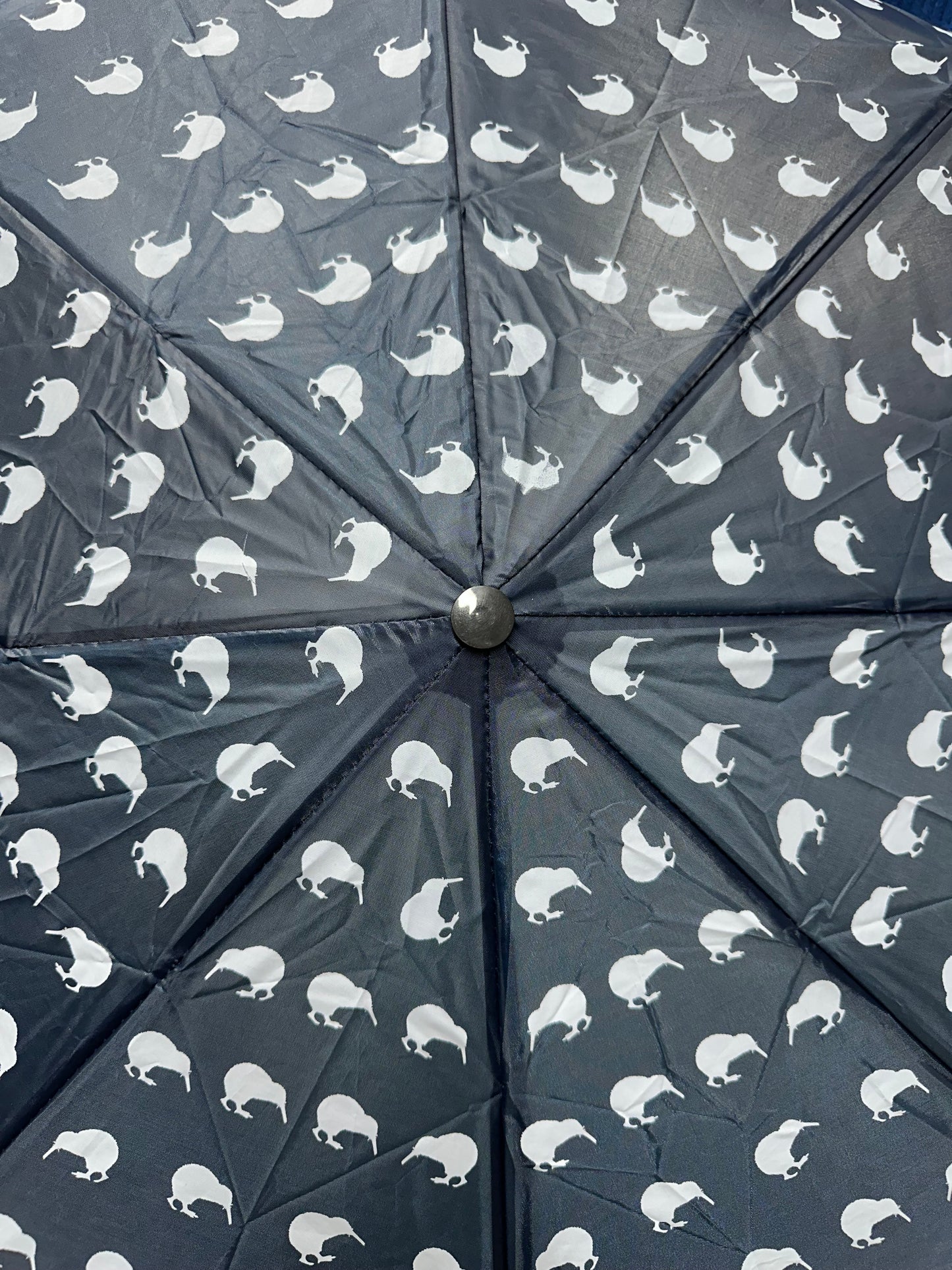 Souvenir Umbrella