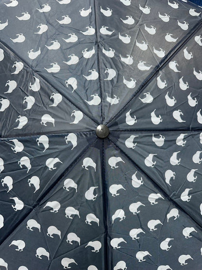 Souvenir Umbrella