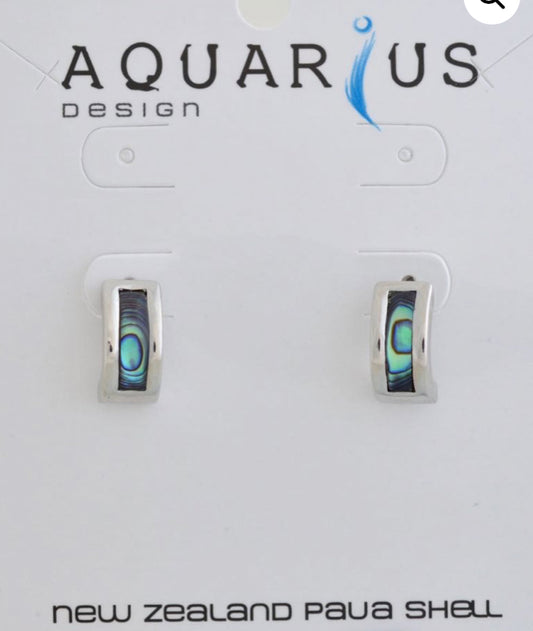 Half Hoop With Paua Slice Earrings