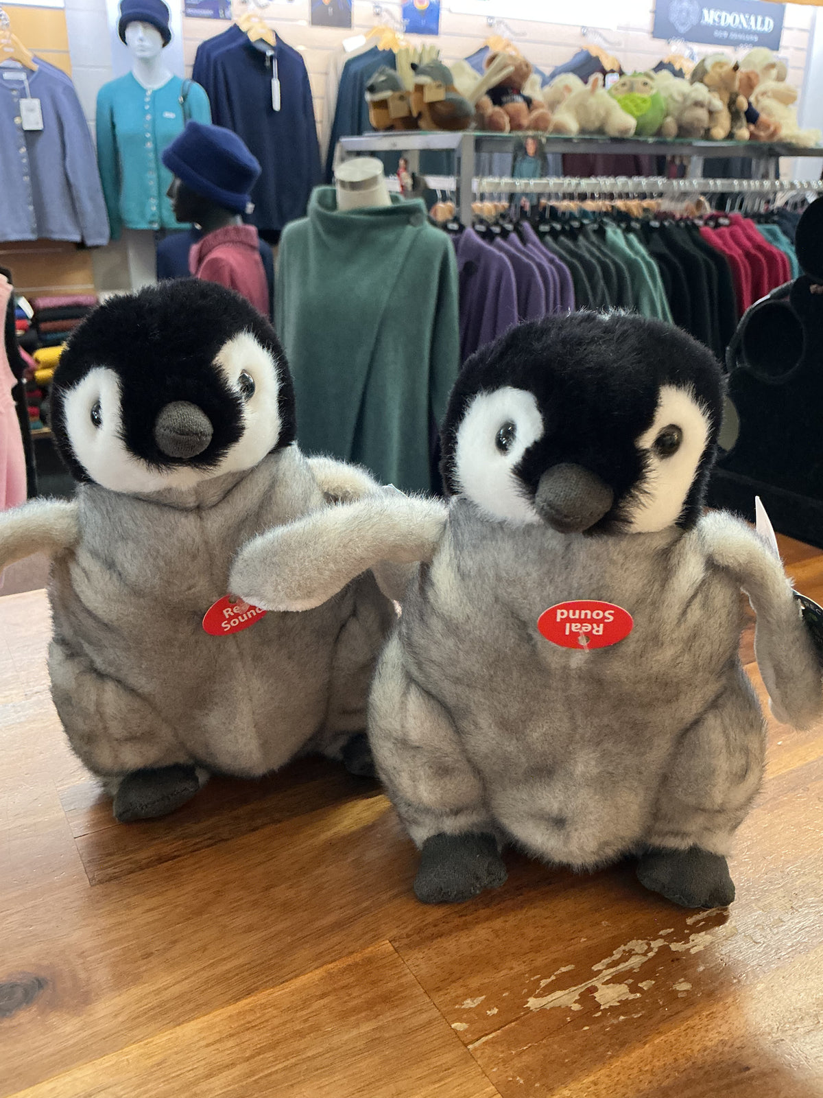 PENGUIN CHICK WITH SOUND
