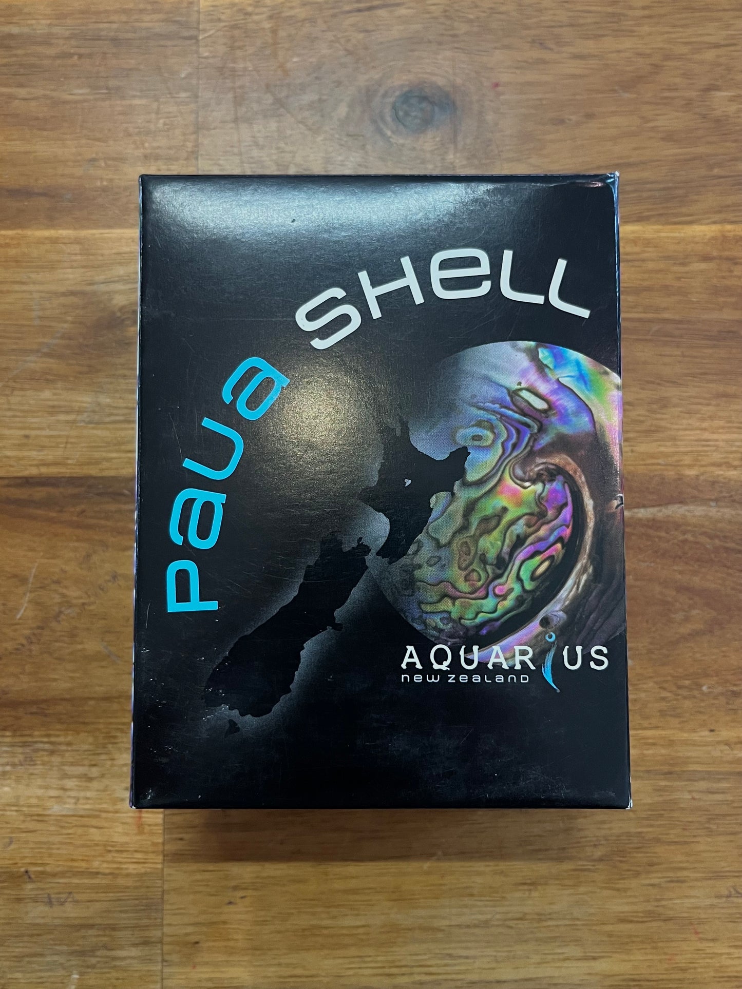 Paua Shell