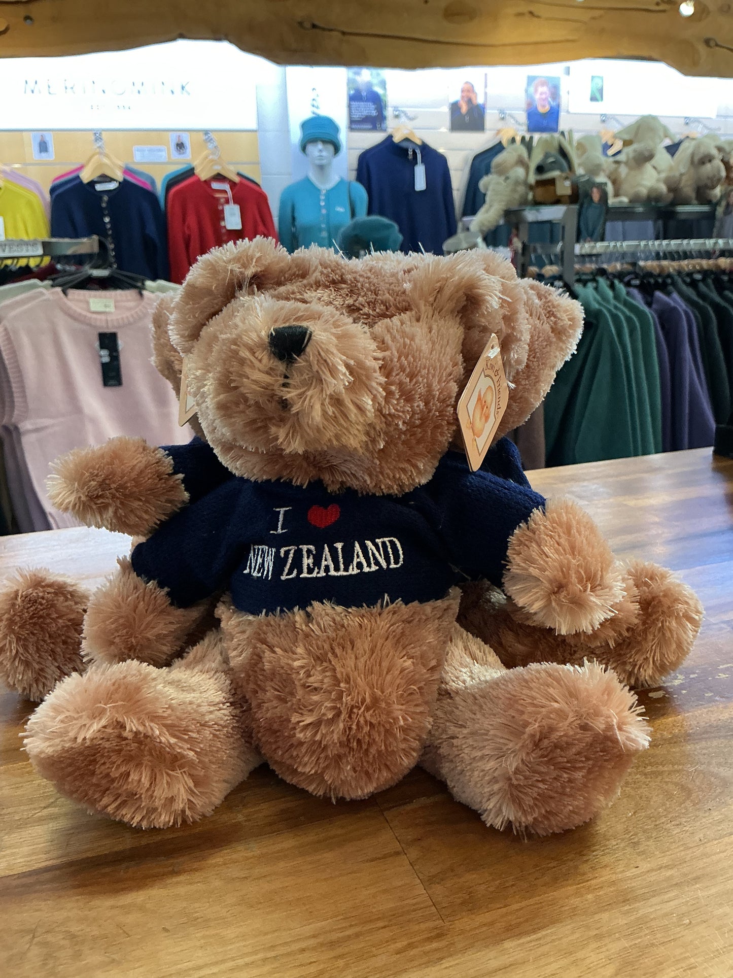 Teddy Bear Brown