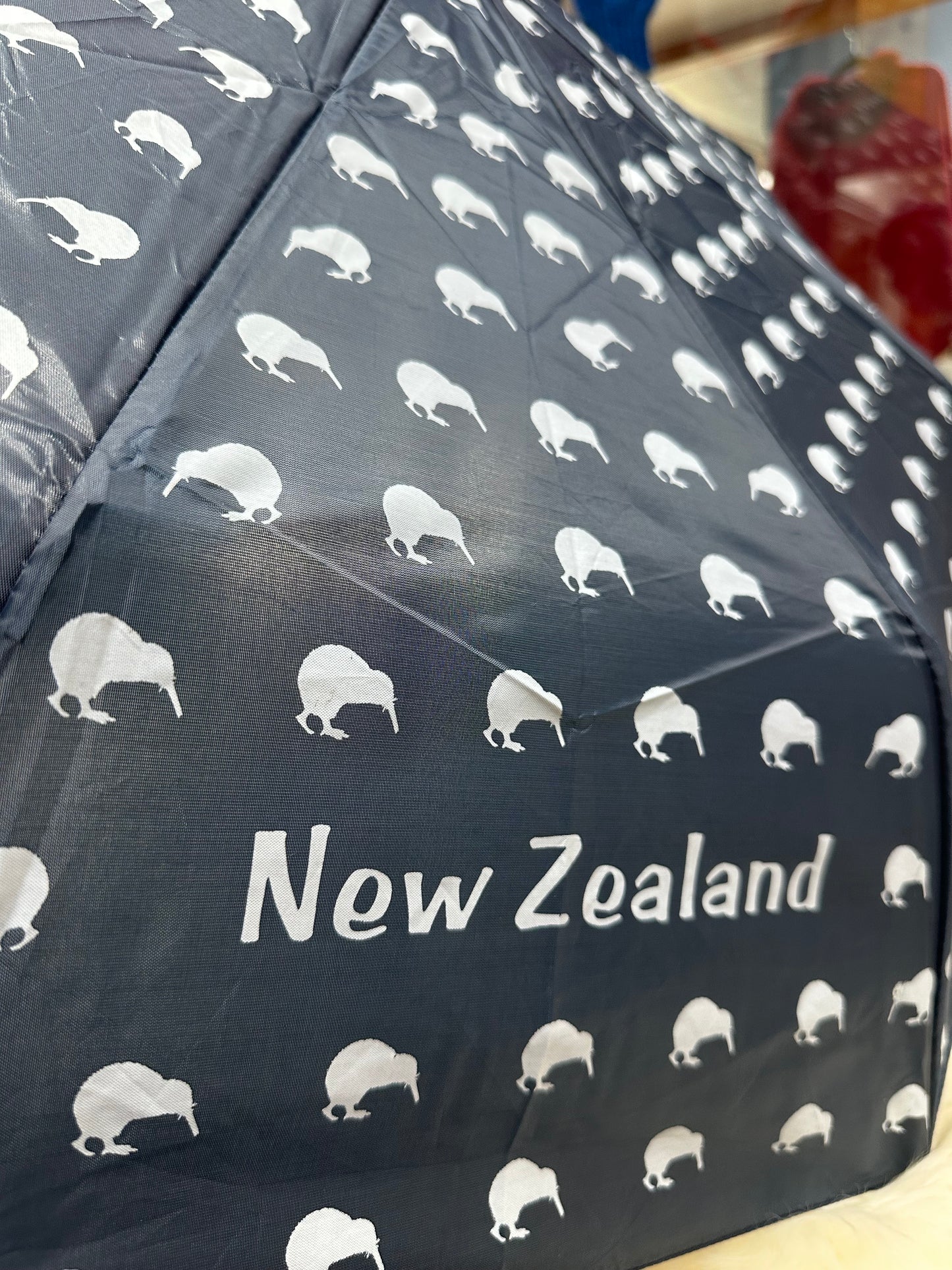 Souvenir Umbrella