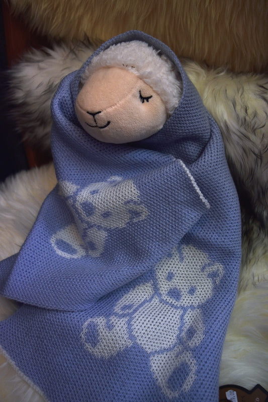 Baby Bear Stroller Blanket