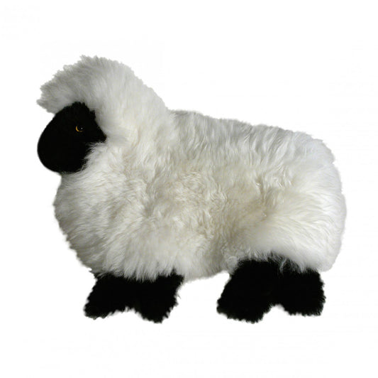 PJ case Ram/Lamb