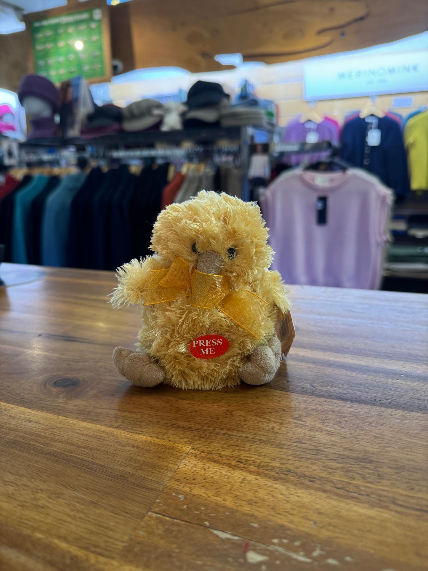 Kiwi Bird soft Toy with noise