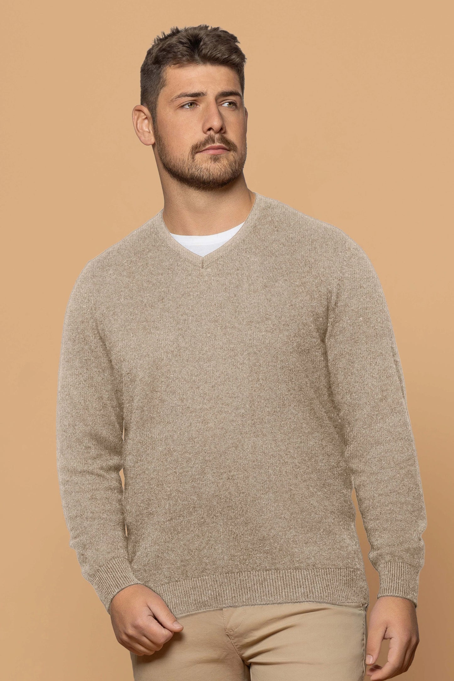 MENS VEE